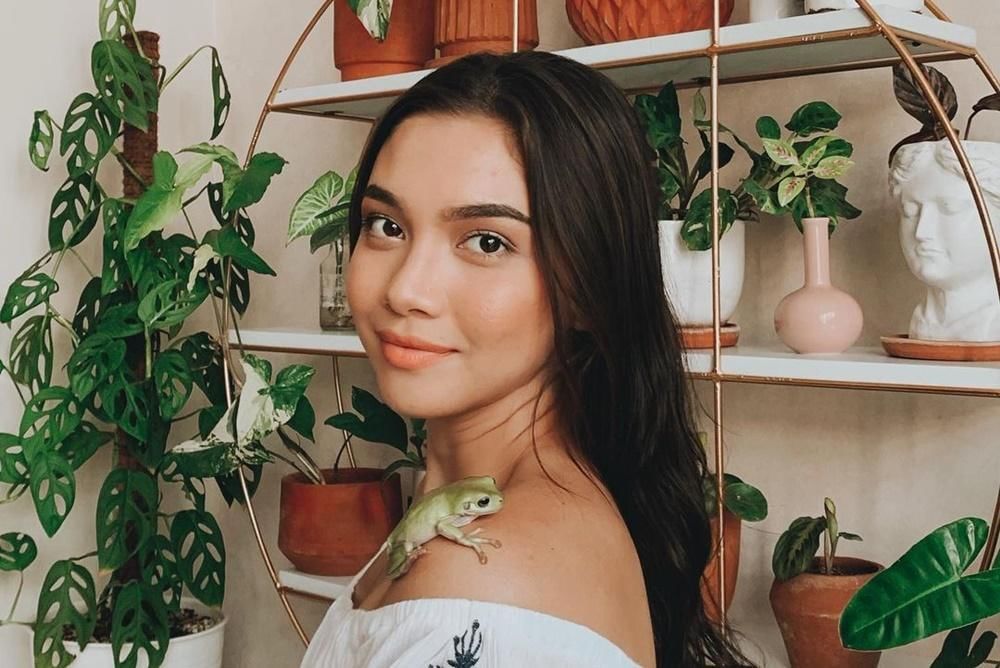 Instagram.com/angelagilsha