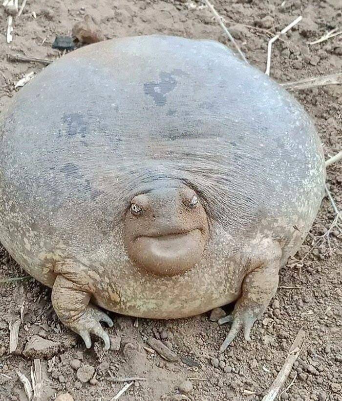 reddit.com