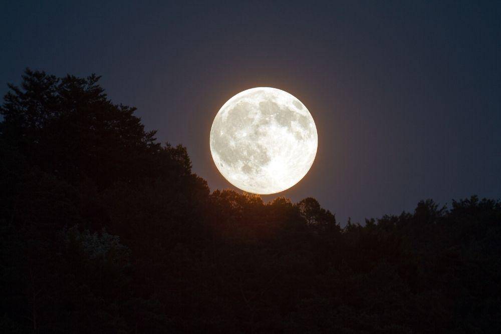 Pixabay.com/kasabubu