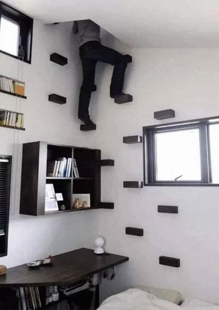 reddit.com/skalamabirdy2