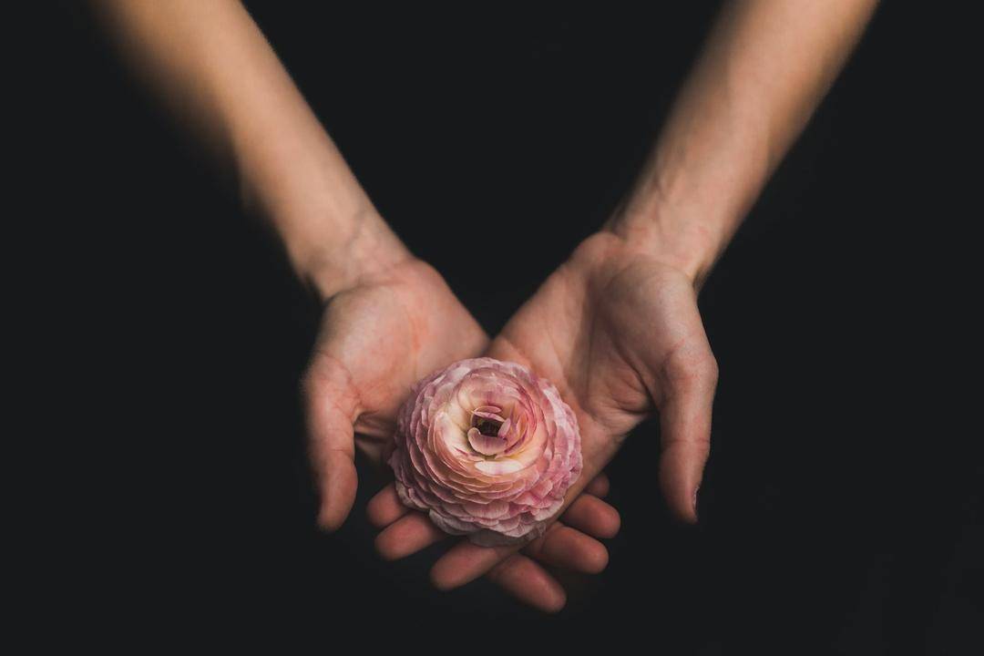 Unsplash.com/Matthew Henry