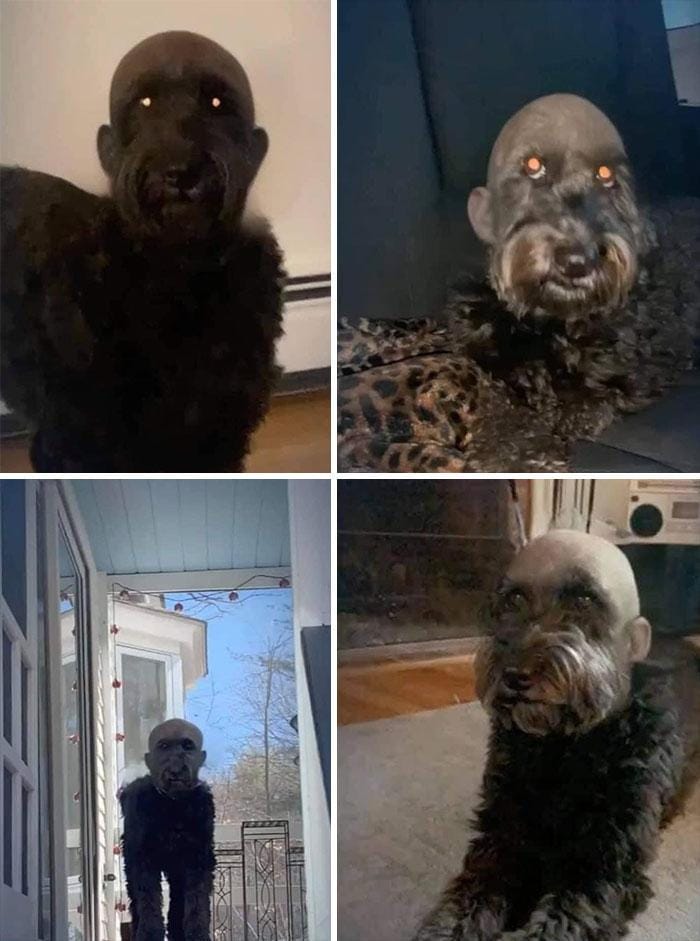 facebook.com/realupcomingmovies