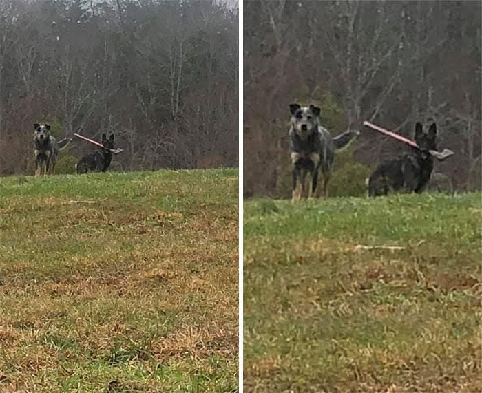 facebook.com/TimSmith