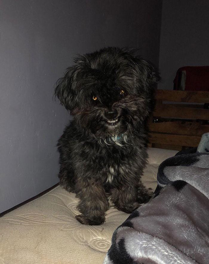 reddit .com/IanRiosDub