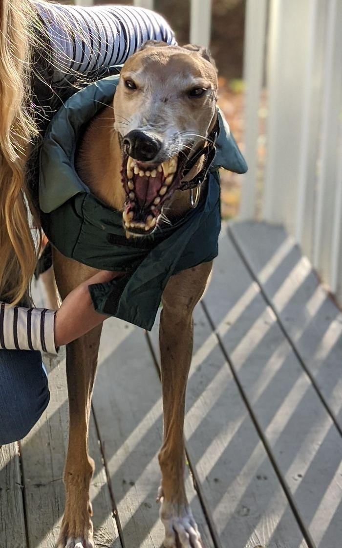 reddit.com/ImportGuy