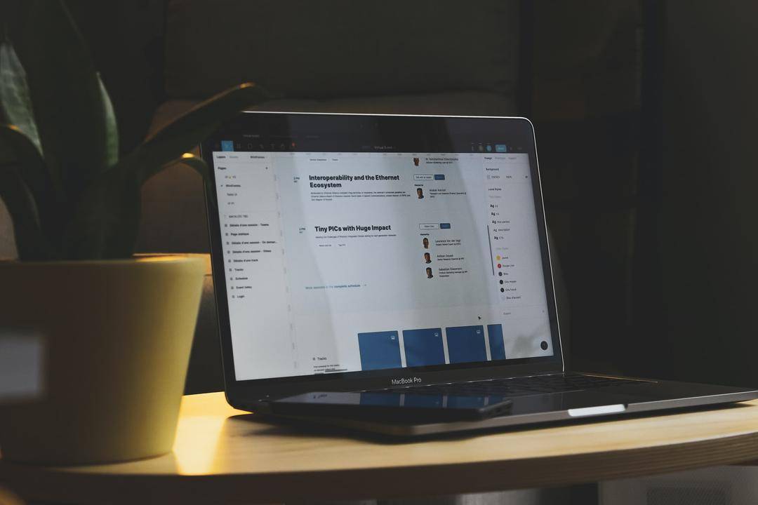 Unsplash.com/Sigmund