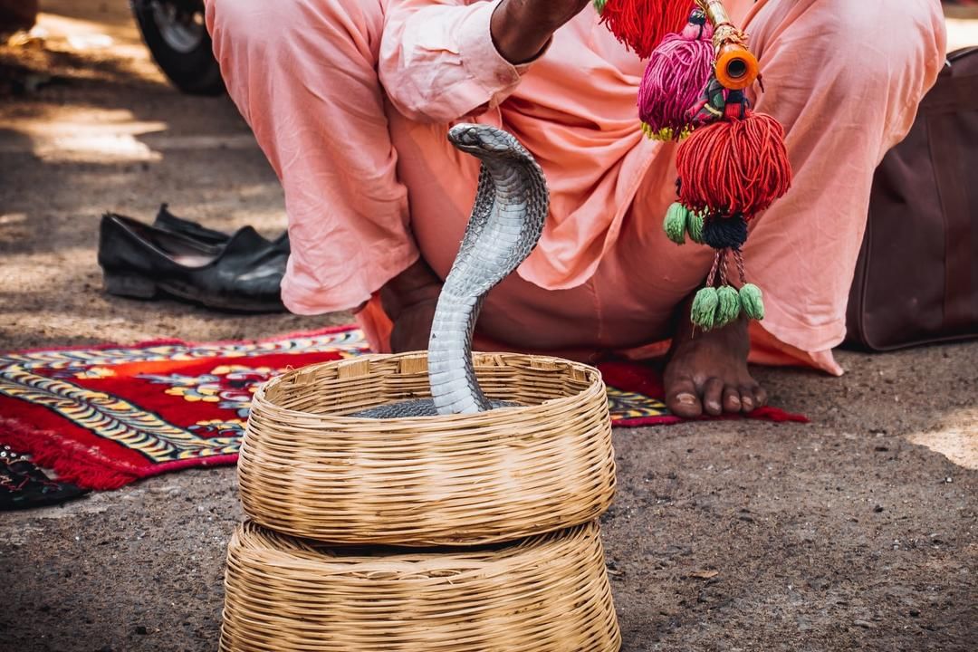 Unsplash.com/Jeet Dhanoa