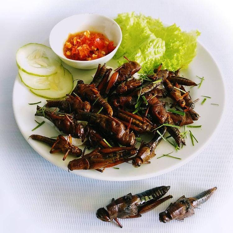 instagram.com/ don_masak