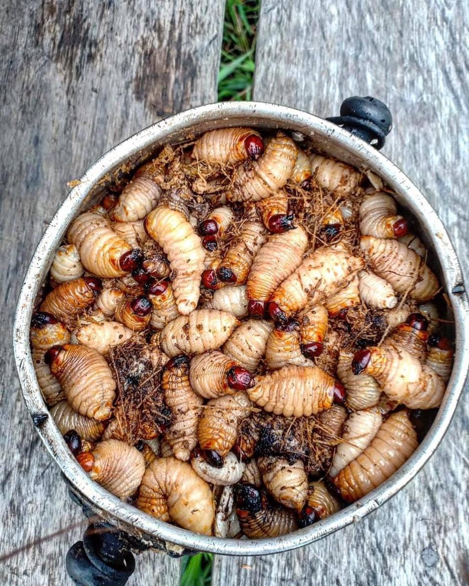 instagram.com/ nonaaatp