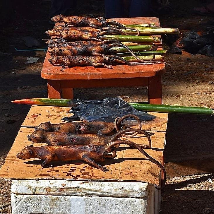 instagram.com/ sirbelly