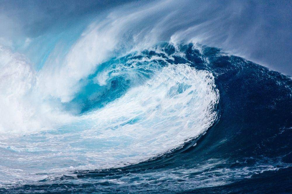 pixabay.com/NeuPaddy