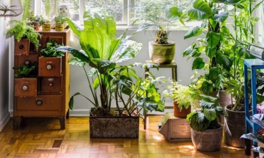 Pinterest.com/Revista Artesanato