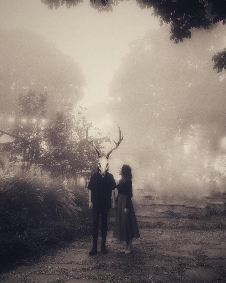 Instagram.com/cakecaine