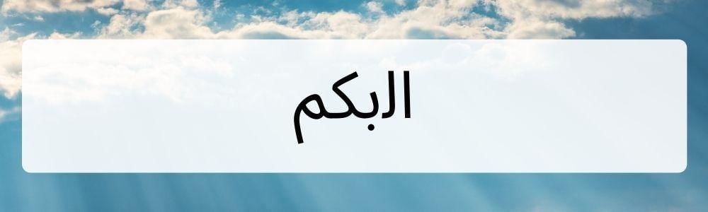 Canva.com, Edited by Romi Subhan