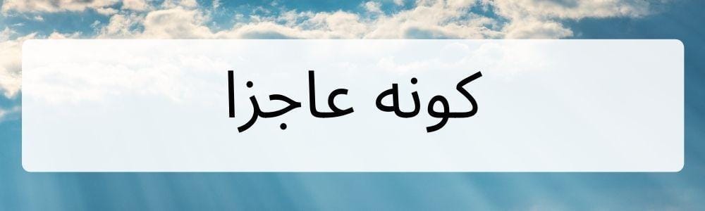 Canva.com, Edited by Romi Subhan