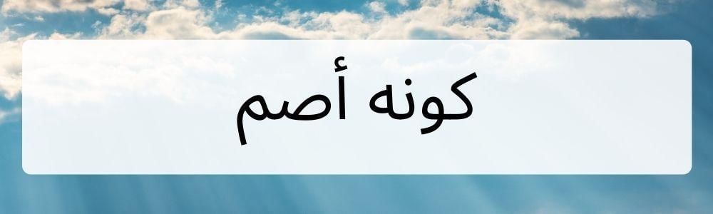 Canva.com, Edited by Romi Subhan