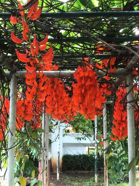 pinterest.com/Meis Djoeachir