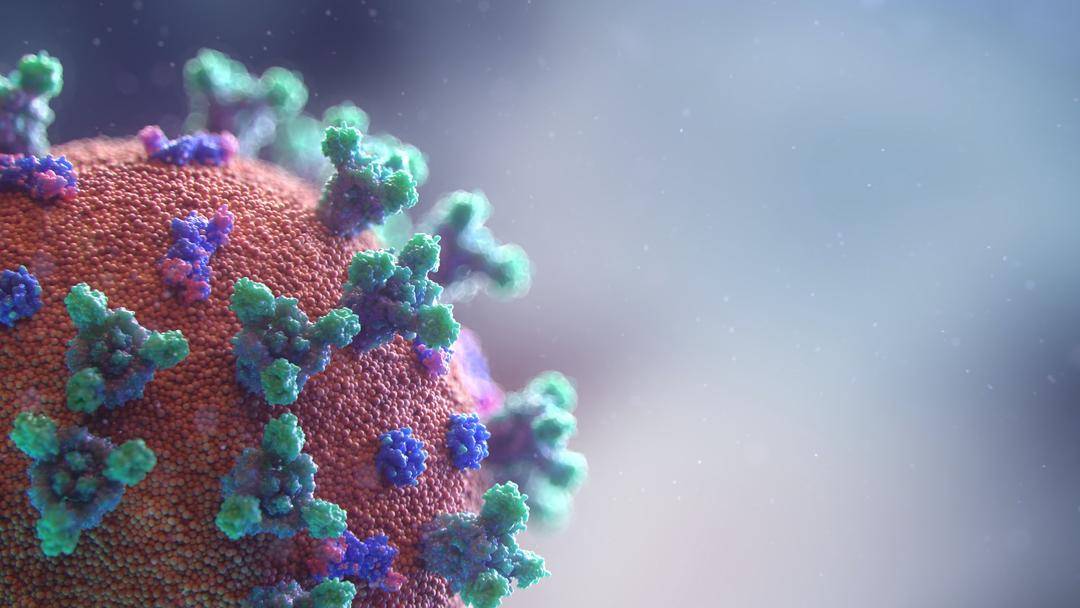 Unsplash.com/Fusion Medical Animation