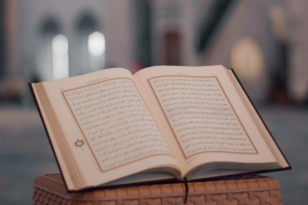 pexels.com/ahmed polat