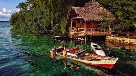 Tripadvisor.com