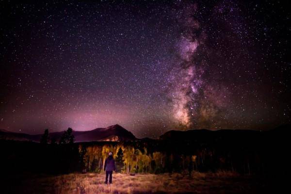 Unsplash.com/Nathan Anderson
