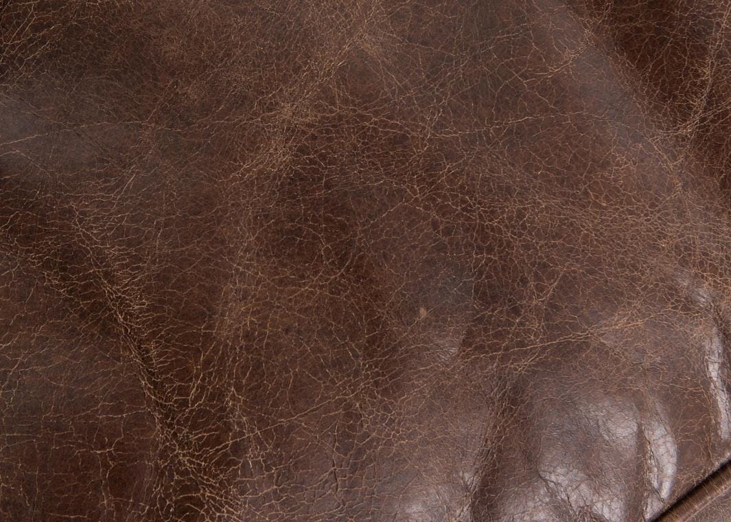 silvercoastcompany.com