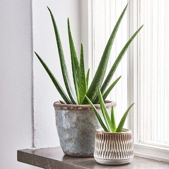 plantagen.fi