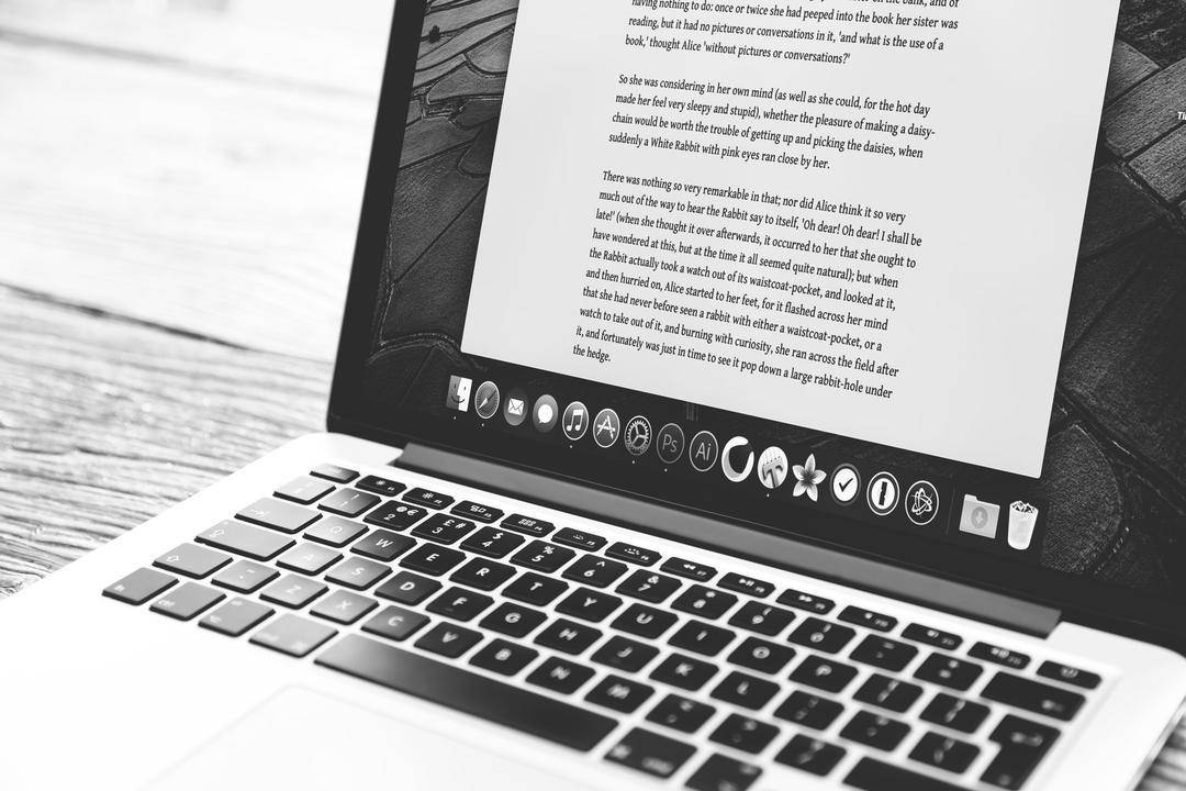 Unsplash.com/Dan Counsell