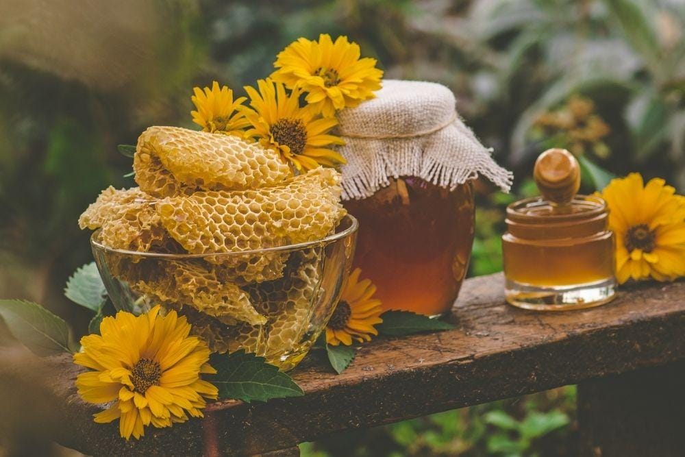 Cara Menghilangkan Bekas Luka Menghitam Secara Alami / freepik.com