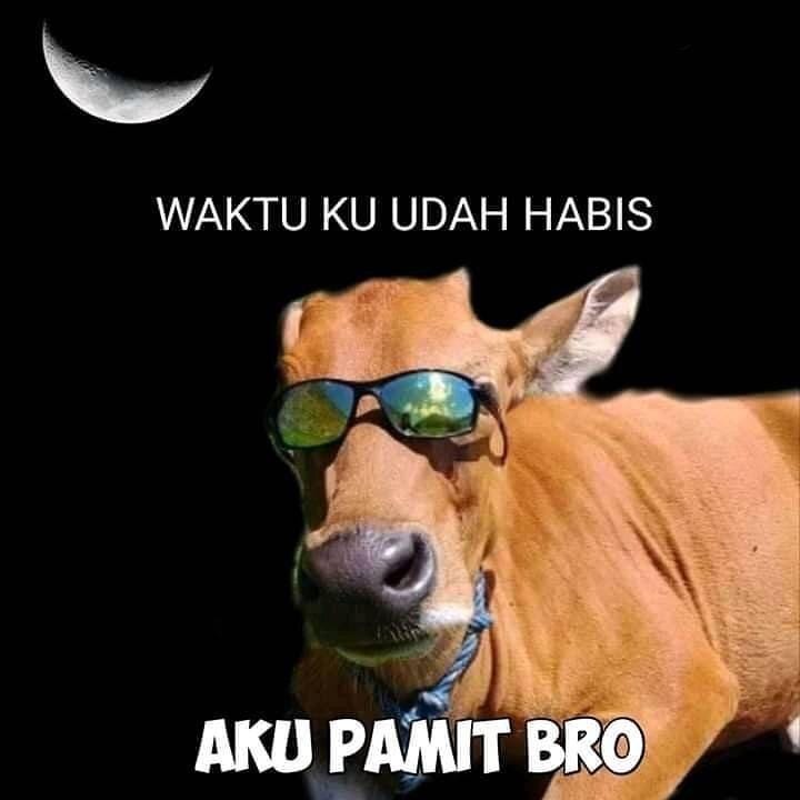 Instagram.com/meme.comik.indonesia