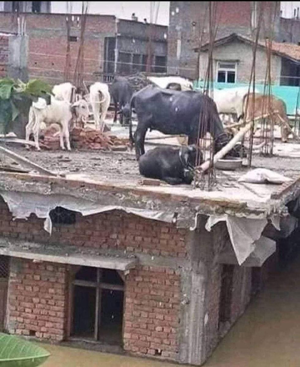 Instagram.com/wkwkland_real