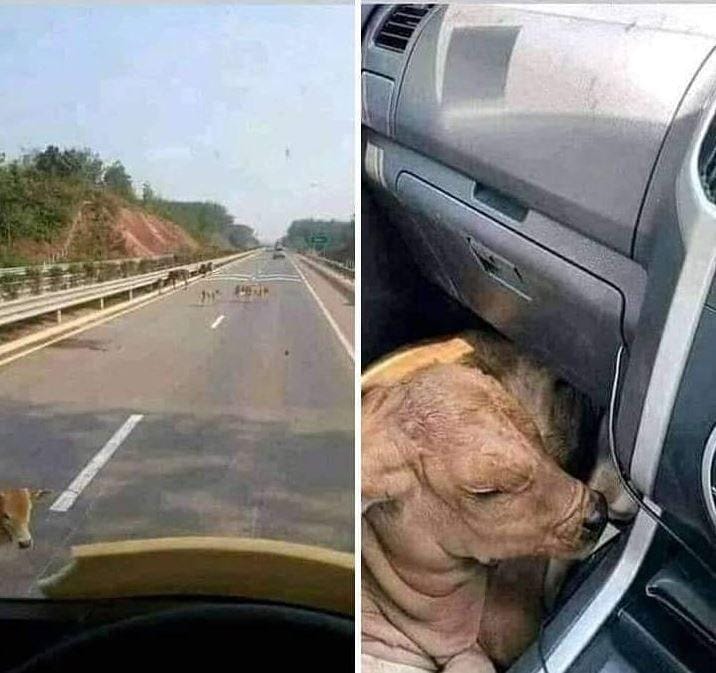 Instagram.com/wkwkland_real