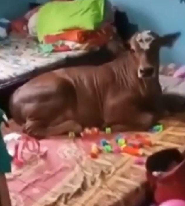 Tiktok.com/@anazbecks7