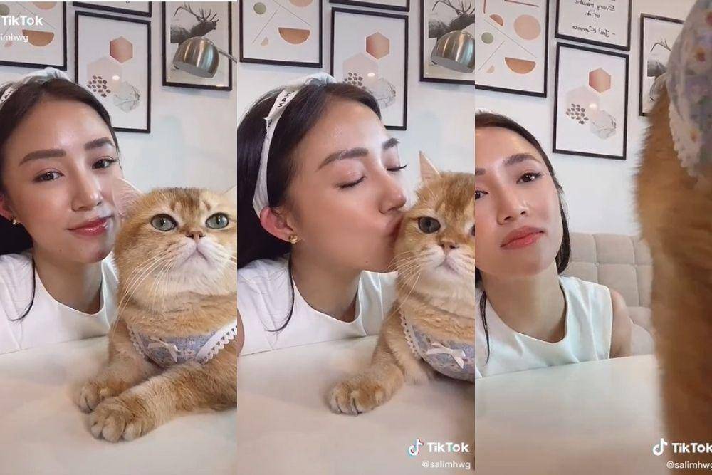 tiktok.com/salimhwg