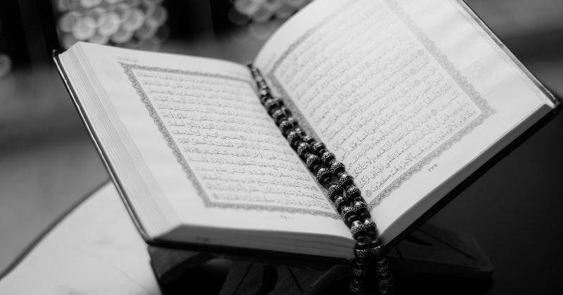 Pexels.com/Tayeb MEZAHDIA