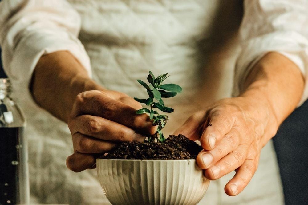 unsplash.com/ave calvar