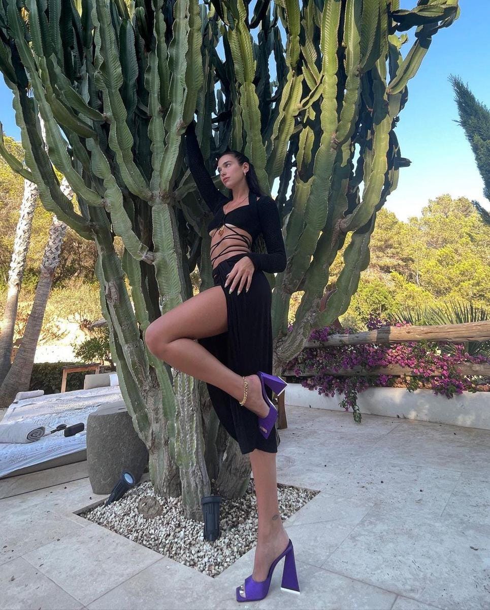 instagram.com/dualipa