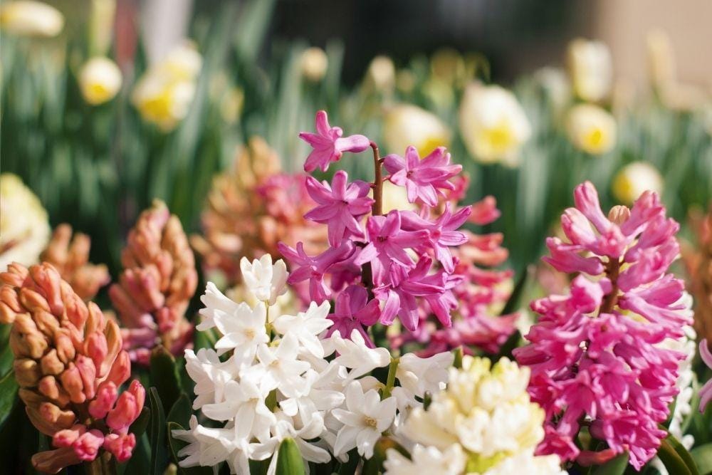 unsplash.com/aubrey-odom