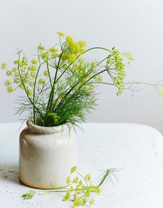 pinterest.com/shopie allen