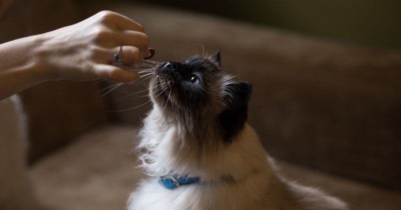 Pexels.com/Freestock.org