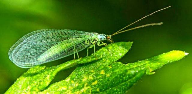 Friendsoftheearth.uk