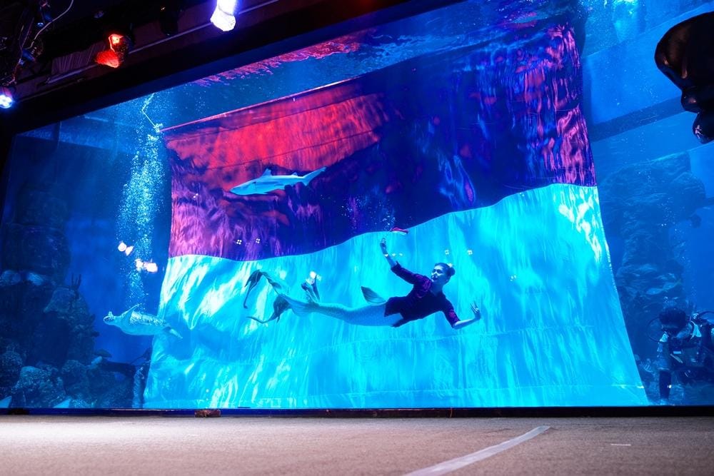 Dok. Jakarta Aquarium