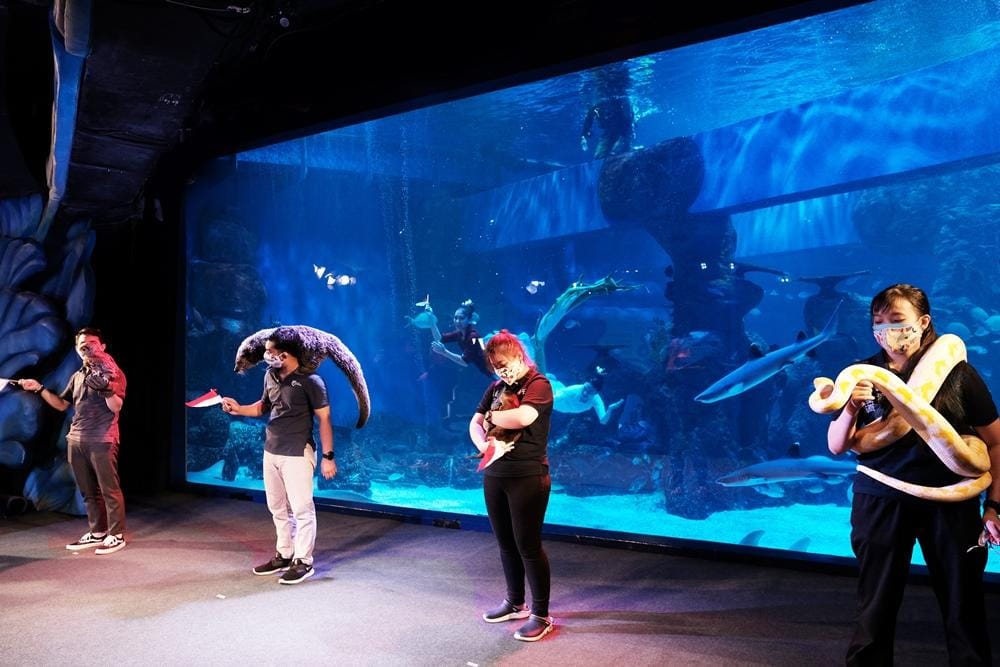 Dok. Jakarta Aquarium