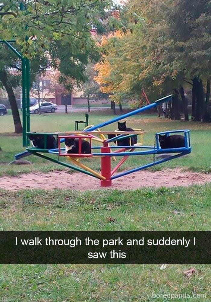 reddit.com/LuchanoKot