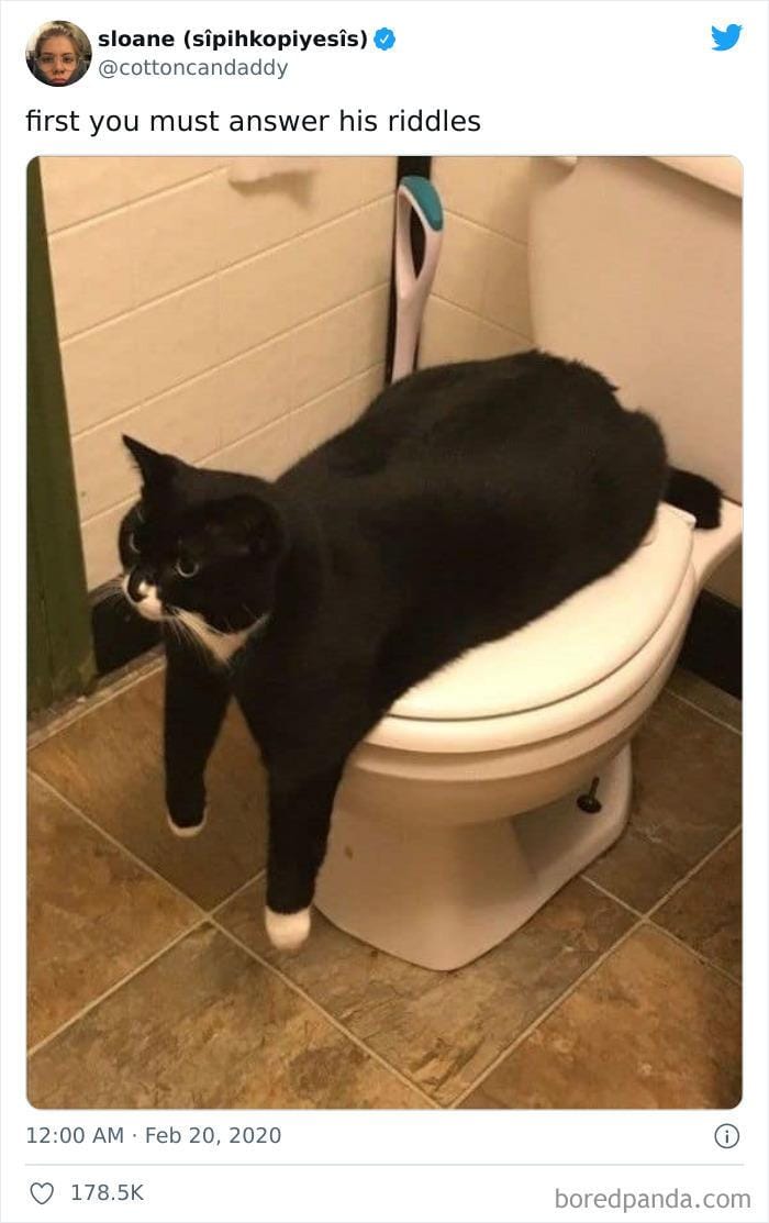 twitter.com/cottoncandaddy