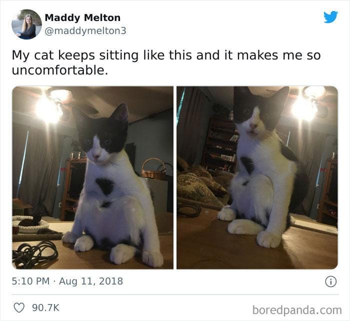 twitter.com/maddymelton3