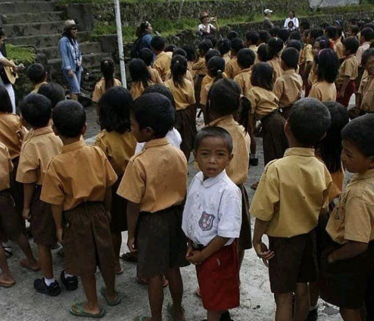 Twitter.com/shitegoblin