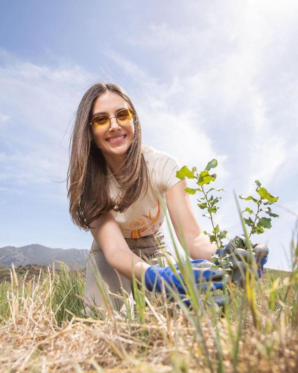 Instagram.com/alisonbrie