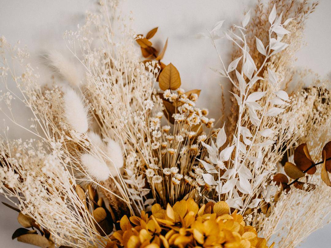 Unsplash.com/Anie Spratt