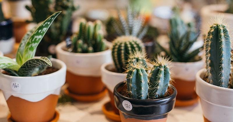 Freepik.com/Bublik Haus